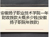 安徽扬子职业技术学院一年财政拨款大概多少钱(安徽扬子职院年拨款)