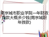 南京城市职业学院一年财政拨款大概多少钱(南京城职年拨款)