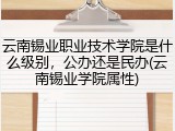 云南锡业职业技术学院是什么级别，公办还是民办(云南锡业学院属性)