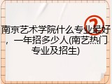 南京艺术学院什么专业最好，一年招多少人(南艺热门专业及招生)