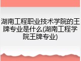 湖南工程职业技术学院的王牌专业是什么(湖南工程学院王牌专业)