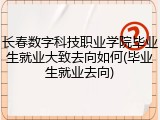 长春数字科技职业学院毕业生就业大致去向如何(毕业生就业去向)