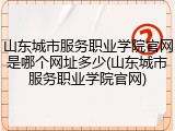 山东城市服务职业学院官网是哪个网址多少(山东城市服务职业学院官网)