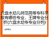 六盘水幼儿师范高等专科学校有哪些专业，王牌专业分析(六盘水幼专专业分析)