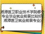 湘潭医卫职业技术学院哪个专业毕业就业前景比较好(湘潭医卫就业前景专业)