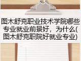 图木舒克职业技术学院哪些专业就业前景好，为什么(图木舒克职院好就业专业)