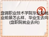盘锦职业技术学院毕业后就业前景怎么样，毕业生去向(盘职院就业去向)