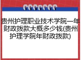 贵州护理职业技术学院一年财政拨款大概多少钱(贵州护理学院年财政拨款)