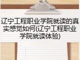 辽宁工程职业学院就读的真实感觉如何(辽宁工程职业学院就读体验)