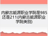 内蒙古能源职业学院是985还是211(内蒙古能源职业学院类别)
