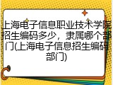 上海电子信息职业技术学院招生编码多少，隶属哪个部门(上海电子信息招生编码部门)