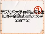 武汉纺织大学有哪些奖学金和助学金呢(武汉纺大奖学金助学金)