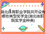 湖北体育职业学院共开设有哪些类型奖学金(湖北体职院奖学金种类)