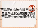 西藏警官高等专科学校哪个专业毕业就业前景比较好(西藏警专就业前景好专业)