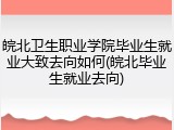 皖北卫生职业学院毕业生就业大致去向如何(皖北毕业生就业去向)