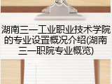 湖南三一工业职业技术学院的专业设置概况介绍(湖南三一职院专业概览)