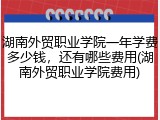 湖南外贸职业学院一年学费多少钱，还有哪些费用(湖南外贸职业学院费用)