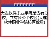 大连软件职业学院是否有分校，共有多少个校区(大连软件职业学院校区数量)