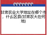 甘肃农业大学地址在哪个市，什么区县(甘肃农大在何地)