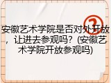 安徽艺术学院是否对外开放，让进去参观吗？(安徽艺术学院开放参观吗)
