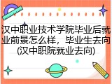 汉中职业技术学院毕业后就业前景怎么样，毕业生去向(汉中职院就业去向)