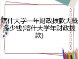 喀什大学一年财政拨款大概多少钱(喀什大学年财政拨款)