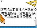 陕西机电职业技术学院有没有就业指导，好就业吗(陕西机电就业指导情况)
