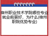 宿州职业技术学院哪些专业就业前景好，为什么(宿州职院优势专业)