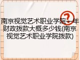 南京视觉艺术职业学院一年财政拨款大概多少钱(南京视觉艺术职业学院拨款)