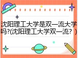沈阳理工大学是双一流大学吗?(沈阳理工大学双一流？)