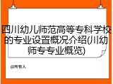 四川幼儿师范高等专科学校的专业设置概况介绍(川幼师专专业概览)