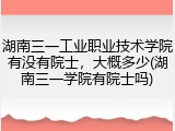湖南三一工业职业技术学院有没有院士，大概多少(湖南三一学院有院士吗)