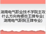 湖南电气职业技术学院主攻什么方向有哪些王牌专业(湖南电气职院王牌专业)