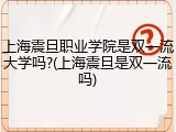上海震旦职业学院是双一流大学吗?(上海震旦是双一流吗)
