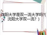 沈阳大学是双一流大学吗?(沈阳大学双一流？)