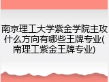 南京理工大学紫金学院主攻什么方向有哪些王牌专业(南理工紫金王牌专业)