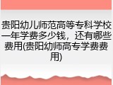 贵阳幼儿师范高等专科学校一年学费多少钱，还有哪些费用(贵阳幼师高专学费费用)
