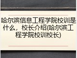 哈尔滨信息工程学院校训是什么，校长介绍(哈尔滨工程学院校训校长)