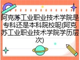 阿克苏工业职业技术学院是专科还是本科院校呢(阿克苏工业职业技术学院学历层次)