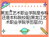 黑龙江艺术职业学院是专科还是本科院校呢(黑龙江艺术职业学院学历层次)