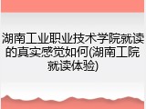湖南工业职业技术学院就读的真实感觉如何(湖南工院就读体验)