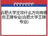 合肥大学主攻什么方向有哪些王牌专业(合肥大学王牌专业)