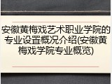 安徽黄梅戏艺术职业学院的专业设置概况介绍(安徽黄梅戏学院专业概览)