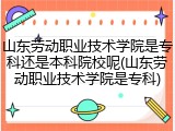 山东劳动职业技术学院是专科还是本科院校呢(山东劳动职业技术学院是专科)