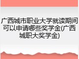 广西城市职业大学就读期间可以申请哪些奖学金(广西城职大奖学金)