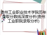 贵州工业职业技术学院历年录取分数线深度分析(贵州工业职院录取分析)