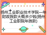 扬州工业职业技术学院一年财政拨款大概多少钱(扬州工业职院年拨款)