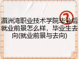 湄洲湾职业技术学院毕业后就业前景怎么样，毕业生去向(就业前景与去向)