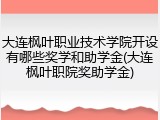 大连枫叶职业技术学院开设有哪些奖学和助学金(大连枫叶职院奖助学金)