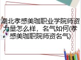 湖北孝感美珈职业学院师资力量怎么样，名气如何(孝感美珈职院师资名气)